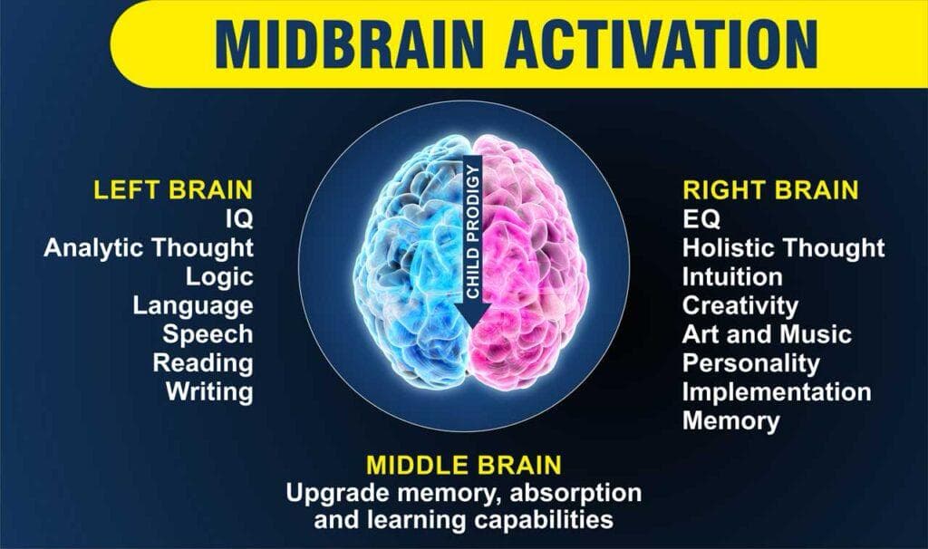Ascento Memory Enhancement Program & DMIT